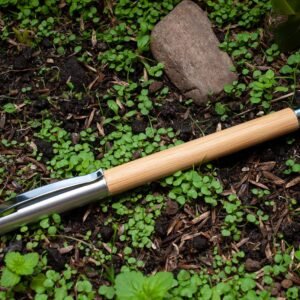 import placeholder for 5298